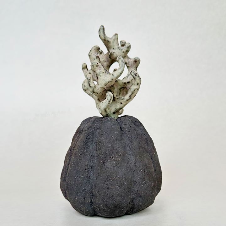 Rymdblomma